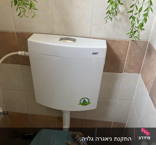 אסלה עם מיכל הדחה, מברשת ניקוי ושירותים